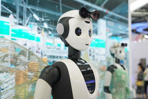 鏡觀服貿(mào)會(huì) 中國智造服務(wù)世界——聚焦攝影攝像服務(wù)新高度