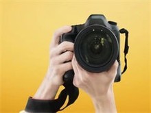 北京寵物攝影網站設計 創(chuàng)意與專業(yè)的完美融合